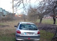 Pezo 206