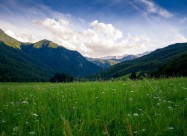 ПРОДАВАМ ПЛАЦ ЗА ВИКЕНДИЦА