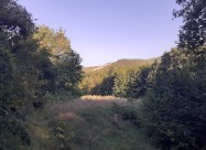ПРОДАЖБА НА АТРАКТИВНА ЛОКАЦИЈА ВО ВРУТОК-ГОСТИВАР