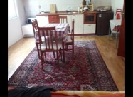 Se Prpdava Stan Vo Ohrid, Lagadin