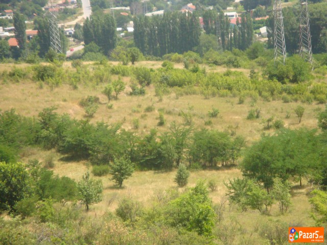 Atraktivni I Evtini Nivi