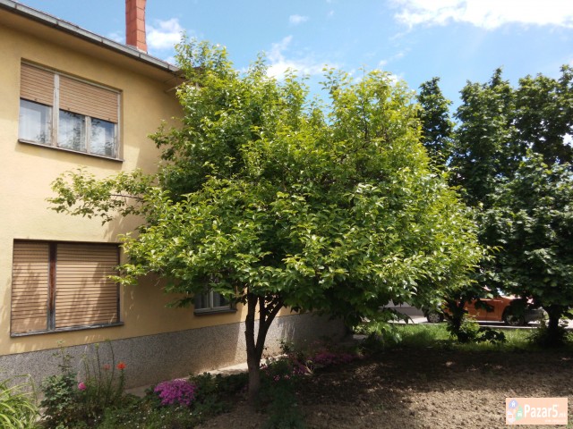 Продавам куќа во бутел 1