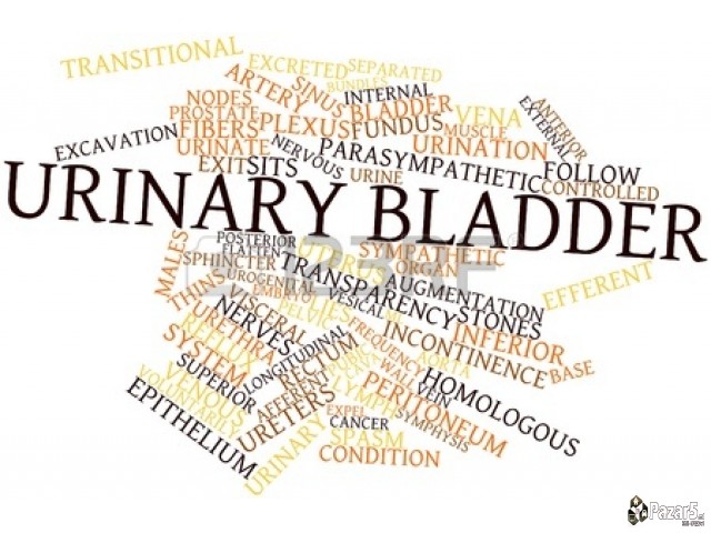 Н И К И В И Т А 100% ПРИРОДЕН ЕЛИКСИР