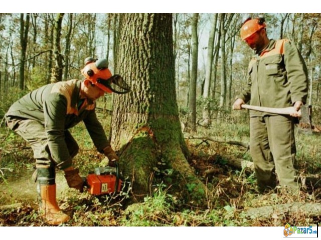 Шумски работници