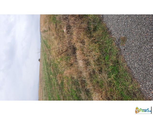 Се продава нива на место Војник до асвалт 