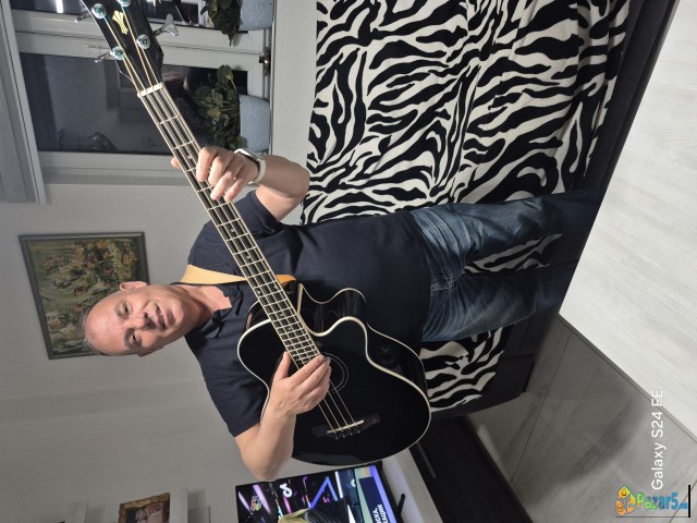 Bas Gitara