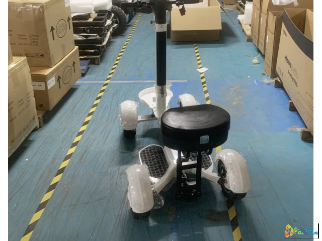 Ecorider G2 E7-1 4wheel Foldable Golf Electric Ska