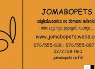 Prodavam Teddy Angorka Lavja Glava Zajacinja