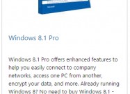Windows 8.1 Pro