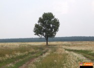 Se Prodava Eftino Zemjishte