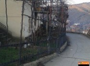 Vednas Fseliva