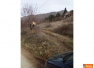 Plac Vo Rastak Плац во Раштак