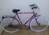 Holandski Velosipedi