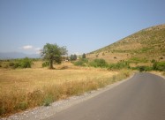 Atraktivni I Evtini Nivi