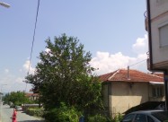 Itno Prodavam Stan Poradi Zaminuvanje Vo Stranstvo