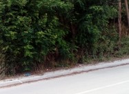Se Prodava Vikendica Vo Mavrovo