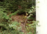 Se Prodava Vikendica Vo Mavrovo