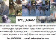 Prodavam Kucenca -kangal