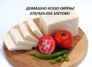 Kozjo Sirenje Kozi Alpinki
