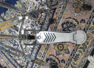 Yamaha Rydeen **extra Cena**