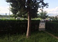 Se Izdava Trosoben Stan Vo Aerodrom