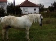 Gligorovaleksandar3@gmail.com