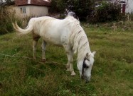 Gligorovaleksandar3@gmail.com
