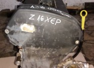 Poloven Motor