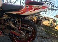 Honda Cbr900 Rr