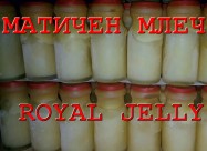 ЕЛИКСИР ЗА ПЛОДНОСТ