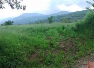 Vënd 2581m2 Në Dalje Të Qyetit