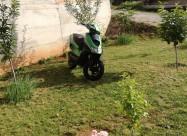 Aprilia