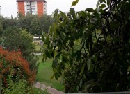 Stan So Odlicen Raspored I Na Prekrasna Lokacija