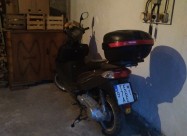 Motor