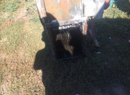 Se Prodava Durbina 