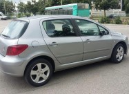 Pezo 307