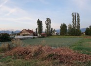 Александар