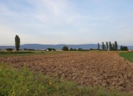 Градежна парцела Плац