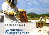Se Prodavaat Pcelni Semejstva