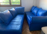 Petosed Ekokoza Vo Odlicna Sostojba