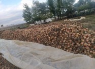 Se Prodava