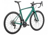 2024 Specialized Roubaix Sl8 Pro Road Bike (gun2bi