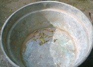 Бакарни казани