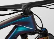 2025 Canyon Lux World Cup Cfr Mach874 Mountain Bik
